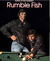 Rumble Fish (Mass Market Paperback)