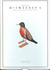 McSweeney's Quarterly Conce...