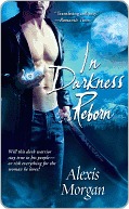 In Darkness Reborn (Paladins of Darkness, #3)