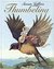 Thumbelina (Hardcover)