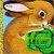 The Bunny Book (Look-Look)