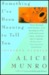 Something I've Been Meaning to Tell You: Thirteen Stories (Paperback)