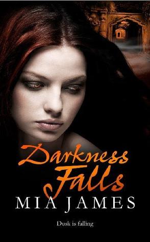 Darkness Falls (Ravenwood Mysteries, #2)