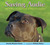 Saving Audie: A Pit Bull Puppy Gets a Second Chance (Hardcover)