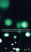 The Day of the Triffids (Paperback)