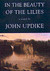 In the Beauty of the Lilies (Hardcover)