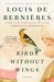 Birds Without Wings
