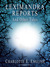 Leximandra Reports, and oth...