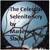 The Celestial Selenite Scry...