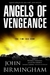 Angels of Vengeance (The Disappearance, #3)