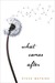 What Comes After (Kindle Edition)