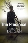 The Precipice