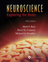 Neuroscience by Mark F. Bear Neuroscience by Mark F. Bear