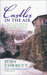 Castles in the Air The Restoration Adventures of Two Young Optimists and a Crumbling Old Mansion