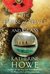 The House of Velvet and Glass (Kindle Edition)
