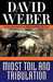 Midst Toil and Tribulation (Safehold, #6)