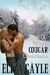 A White Cougar Christmas (ebook)