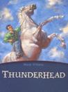 Thunderhead by Mary O'Hara