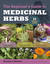 Rosemary Gladstar's Medicinal Herbs: A Beginner's Guide