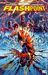 Flashpoint (Paperback)