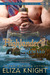 The Highlander's Reward (Stolen Bride, #1)