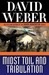 Midst Toil and Tribulation (ebook)