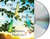 The Good Dream (Audio CD)
