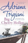 Big Cherry Holler (Big Stone Gap, #2)