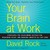 Your Brain at Work: Strategies for Overcoming Distraction, Regaining Focus, and Working Smarter All Day Long (Audio)