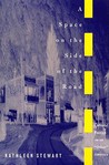 A Space on the Side of the Road: Cultural Poetics in an "Other" America
