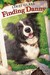 Finding Danny (ebook)