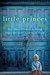 Little Princes: One Man's Promise to Bring Home the Lost Children of Nepal (ebook)