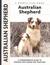 Australian Shepherd: A Comprehensive Guide to Owning and Caring for Your Dog