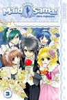 Maid Sama!, Volume 3