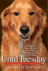Until Tuesday by Luis Carlos Montalván