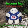 Benjamin Boo Real Super Hero by Dawn Behrens