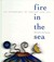 Fire in the Sea: An Antholo...