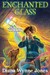 Enchanted Glass (Hardcover)