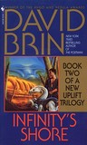 Infinity's Shore by David Brin Infinity's Shore by David Brin