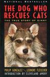The Dog Who Rescues Cats by Philip Gonzalez