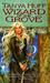 Wizard of the Grove (Omnibus: Child of the Grove / The Last Wizard)
