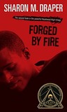 Forged by Fire (Hazelwood High, #2) Forged by Fire (Hazelwood High, #2)
