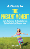 A Guide to The Present Moment by Noah Elkrief