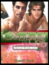 The Counterfeit Claus (Rescue Twinks, #1)