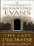 The Last Promise (ebook)
