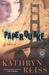 Paperquake: A Puzzle (ebook)