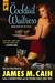The Cocktail Waitress (Paperback)