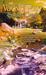 Timber Creek (ebook)
