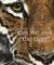 Can We Save the Tiger?. Martin Jenkins (Paperback)