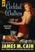 The Cocktail Waitress (ebook)